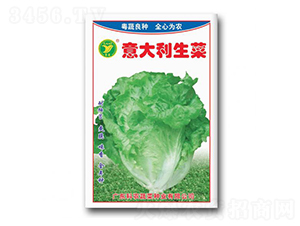 ���������-���˷N��-���r(n��ng)