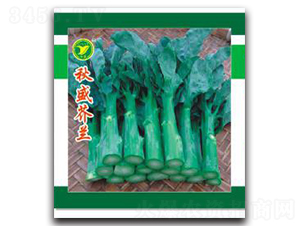 ��ʢ���{-���{�N��-���r(n��ng)