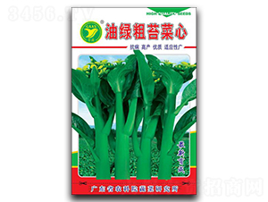 �;G��̦����-���ķN��-���r(n��ng)