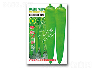 粵蔬2號-辣椒種子-科農(nóng)