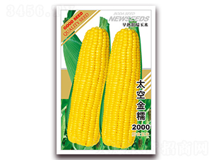 ̫�ս�Ŵ2000-��Ŵ���׷N��-�β���