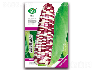 ����Ŵ��̖(h��o)-��Ŵ���׷N��-�β���