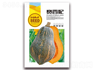 ِ����-�ϹϷN��-�β���