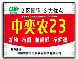 �����r(n��ng)23-���׷N��-�Ÿ��N�I(y��)