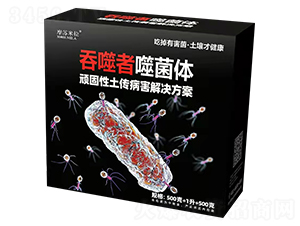 �B��������������Q����-�������ɾ��w-Ħ�K����