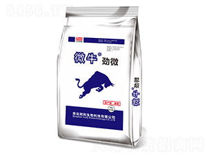 ΢ţ��΢-ͬ������