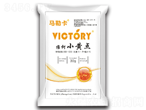 �S��С�S�c-�R�տ�-�S������