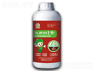 ���|(zh��)�w1̖-ʢ������