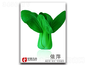 ��Ƽ-�๣�˷N��-�A̩���