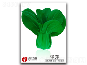 ��Ƽ-�๣�˷N��-�A̩���