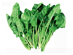 �}Խ�S�~����-���˷N��-����