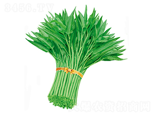 ���̩�����~���Ĳ�-���Ĳ˷N��-����