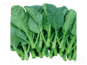 �����������m-���m�N��-����