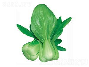 ����-�๣�˷N��-����