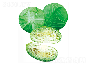 ׷�Ķ�̖-���{(l��n)�N��-����