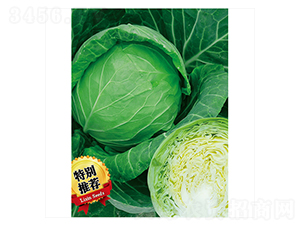 �G��-���{(l��n)�N��-����