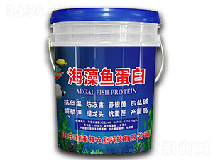 �����~����-�G�S���r�I(y��)