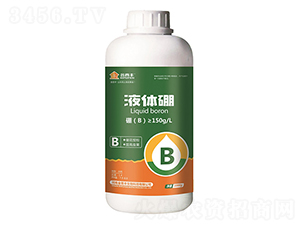 Һ�w��-�����S