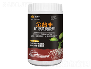 �VԴ�S�����-�����S