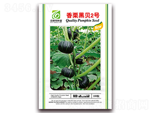 ������ؐ2̖(h��o)-�ϹϷN��-��˹��