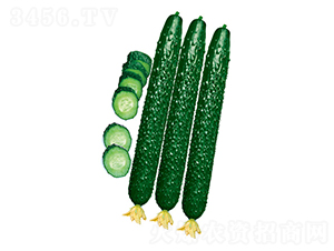 �����-�S�ϷN��-����