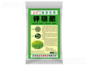 �Ͳˌ�����⛷�-�Έ@