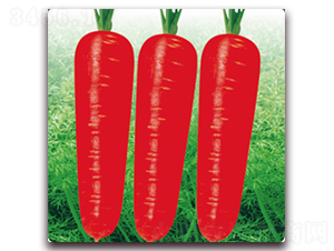 ���u9̖-���}���N��-��˹��