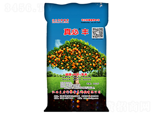 ����S��Ԫ��ˮ���Թ��ܹ���(sh��)��(zhu��n)�÷�-��������