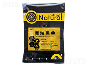 ħ���ڽ�-�i������