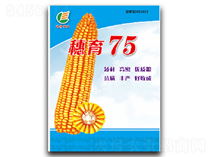 ����75-���׷N��-���S�N�I(y��)