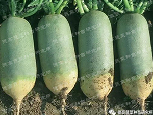 ���-ˮ���}���N��-�¸�