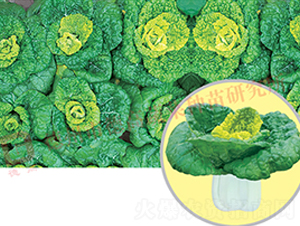 ���1̖-�׹��˷N��-�¸�