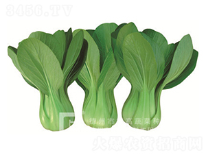 ����187-�๣�˷N��-�¸�