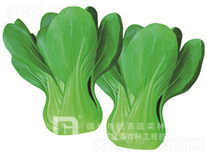 ���_������-�¸�965-�๣�˷N��-�¸�