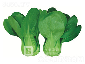 ���_������-�¸��S�A-�๣�˷N��-�¸�