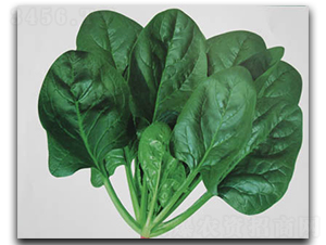 ����-���˷N��