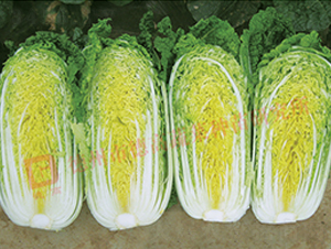 �¸߽�����-���޲˷N��-�¸�