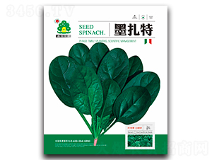 ī����-���˷N��-�Έ@����