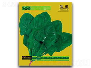 ����-���˷N��-�Έ@����