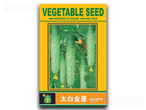 ̫�׽���-�S�ϷN��-�Έ@����