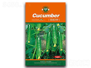 ʥ��288-�S�ϷN��-�Έ@����