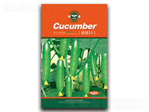 ʥ��19-�S�ϷN��-�Έ@����