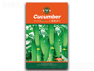 ʥ��18-�S�ϷN��-�Έ@����