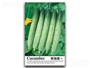 �W���R-�S�ϷN��-�Έ@����