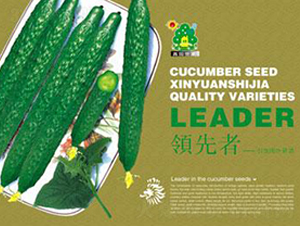 �I(l��ng)����-�S�ϷN��-�Έ@����