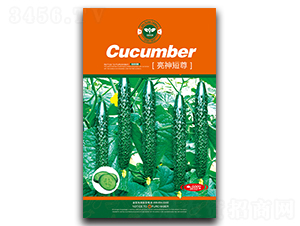 �������-�S�ϷN��-�Έ@����