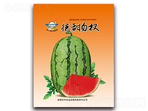 德甜勿杈-西瓜種子-農(nóng)樂農(nóng)業(yè)