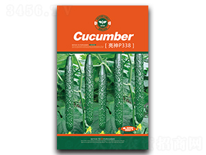 ����P338-�S�ϷN��-�Έ@����