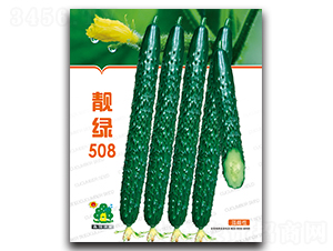 �n�G508-�S�ϷN��-�Έ@����