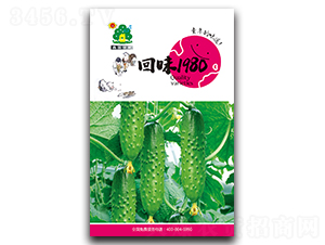 ��ζ1980-�S�ϷN��-�Έ@����